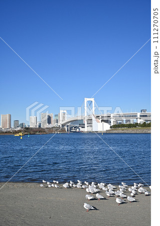 お台場海浜公園から見たレインボーブリッジ お台場海浜公園から見たレインボーブリッジ 111270705