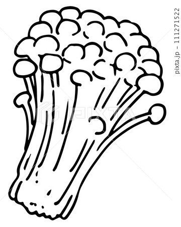 えのきだけ線画 111271522