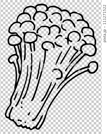 えのきだけ線画 111271522