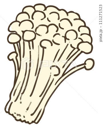 えのきだけ 111271523