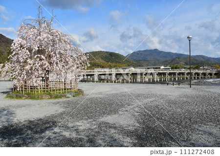 日本の春の京都 嵐山周辺の街並み 観光名所の渡月橋と桂川 美しい桜と新緑 日本の春の京都 嵐山周辺の街並み 観光名所の渡月橋と桂川 美しい桜と新緑 111272408