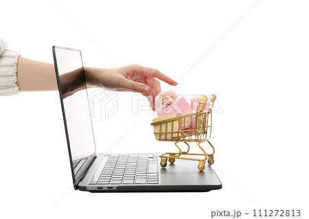 PNG, shopping cart with laptop and flowers, isolated on white background. 111272813