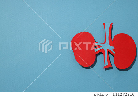 Health care concept, kidneys on a blue background. 111272816