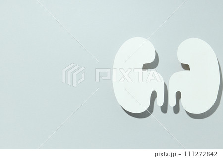 Kidneys on a light background, for National Kidney Month. 111272842