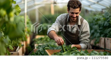 Smiling man tending to plants in a sunny greenhouse. casual gardener at work. sustainable living. organic farming. AI 111273580