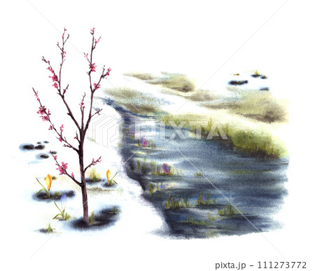 Watercolor landscape Primary plants flowers, blossoming spring trees of cherry, sakura or apricot, stream, the first grass breaking through the snow. Hand painted isolated clipart on white background 111273772