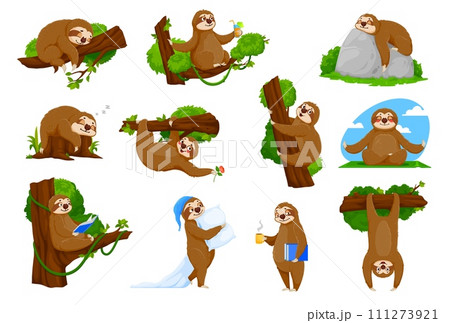 Cartoon funny sloth characters of cute lazy sleeping animal vector set. Sloth or tropical jungle sleepy bear hanging on tree, sleeping or snooze with pillow in pajamas, drinks coffee and reads book Cartoon funny sloth characters of cute lazy sleeping animal vector set. Sloth or tropical jungle sleepy bear hanging on tree, sleeping or snooze with pillow in pajamas, drinks coffee and reads book 111273921