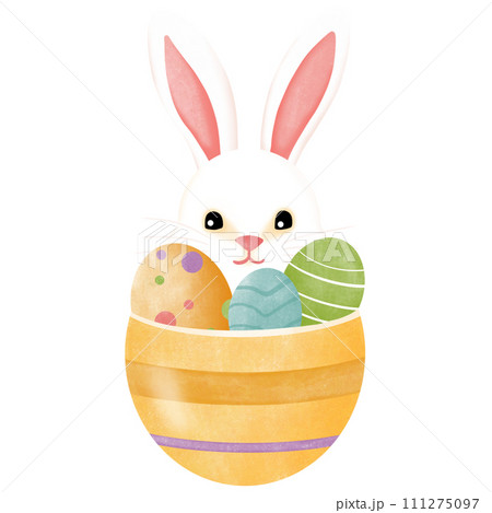 easter bunny and easter eggs 111275097