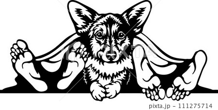 Waiting Corgi Dog - Funny Dog - Pet Dog Vector Clipart, Dog Silhouette Stencil 111275714