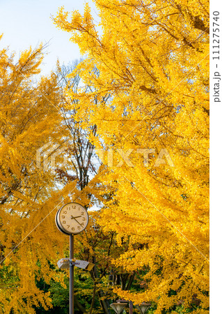 竹影堂 黄銅手打銀杏紋 蓋置 イチョウ