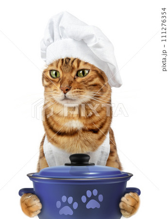 Funny cat - a cook with a pan in his paws Funny cat - a cook with a pan in his paws 111276354