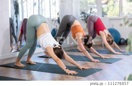 Group of women standing in Downward Dog pose in yoga studio 111276857