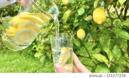against the background of a lemon tree, lemonade is poured into a glass from a transparent glass jug 111277239