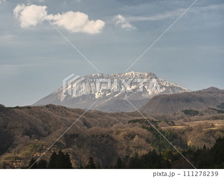 内海乢から見る春の大山 111278239