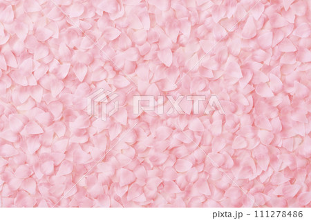 桜の花びらが敷き詰められた背景素材 111278486
