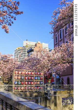 あたみ桜　糸川桜まつり 111279145