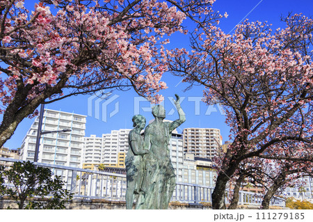 あたみ桜 糸川桜まつり あたみ桜 糸川桜まつり 111279185