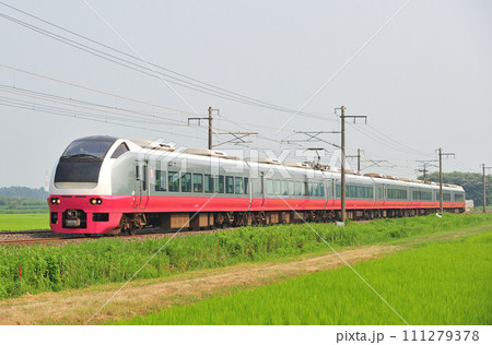 常磐線 羽鳥ー岩間 JR東日本 E653系 K305編成(勝田) フレッシュひたち 常磐線 羽鳥ー岩間 JR東日本 E653系 K305編成(勝田) フレッシュひたち 111279378