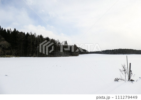 広大な小岩井農場の雪原の中にたたずむ枯れ草 広大な小岩井農場の雪原の中にたたずむ枯れ草 111279449