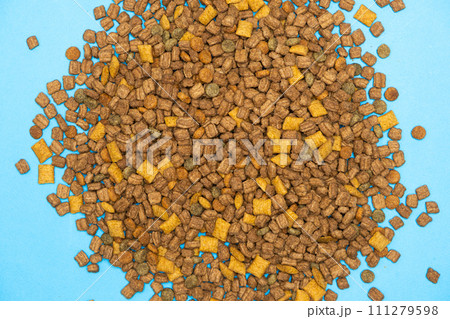 Dry food for kittens and cats close-up. A complete cat diet Dry food for kittens and cats close-up. A complete cat diet 111279598