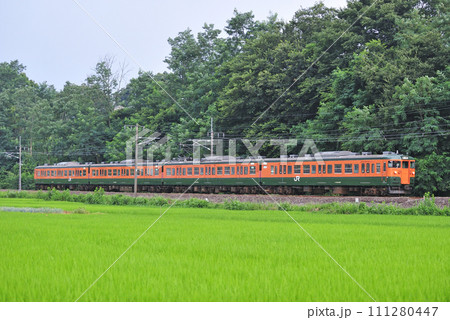 信越本線　安中ー群馬八幡　JR東日本　115系　T1146編成（高崎） 111280447