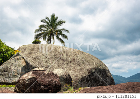 Ilha Grande, Brazil - Jan 27, 2024 111281153