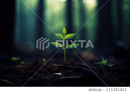 Nature's Resilience A Tender Green Tree Seedling Thriving and Growing Amidst the Woods' Canopy. created with Generative AI 111281822