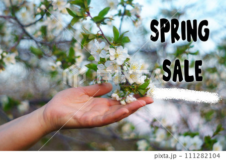 Spring landscape, a beautifully blooming cherry tree. The beginning of a new season 111282104