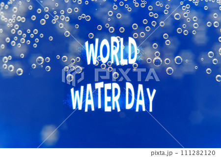 World Water Day With a Glimpse of Crystal Clear Waves Under the Bright Sunlight 111282120