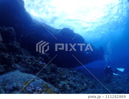 石垣島の海底「青の世界」をダイブする 111282869