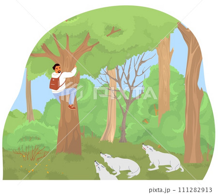 Pack of wolves or wild dogs attacking traveler in forest 111282913