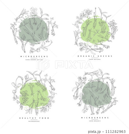 Engraved microgreens round labels set, vector hand drawn natural watercress, coriander mung herbs, healthy organic food 111282963