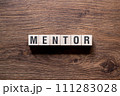 Mentor - word concept on building blocks, text 111283028