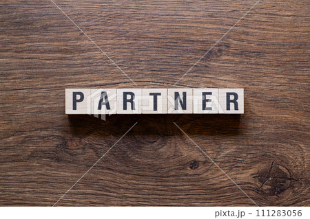 Partner - word concept on building blocks, text 111283056