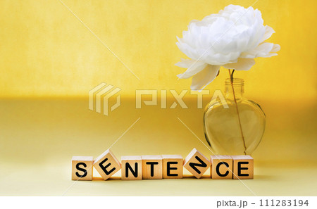 The word sentence is written on a wooden block. Offer text on yellow background The word sentence is written on a wooden block. Offer text on yellow background 111283194