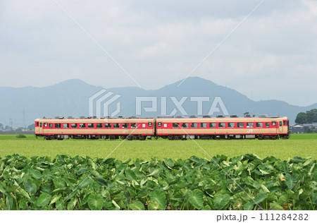 越美北線　越前大野ー越前田野　JR西日本　キハ58-477+キハ28-2360（富山） 111284282