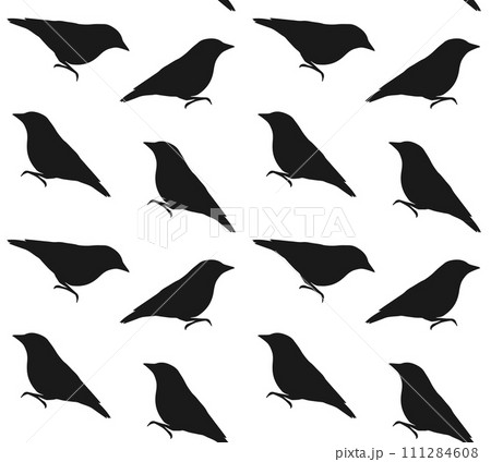 Vector seamless pattern of nuthatch silhouette Vector seamless pattern of nuthatch silhouette 111284608