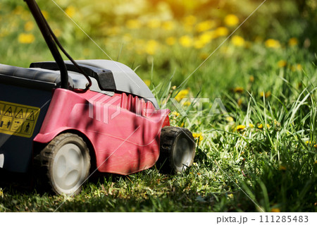 Hand electric red Lawnmower during the first mowing of a green fresh lawn with spring flowers, sunlight. Home garden care. Garden and backyard landscape lawnmower service and maintenance. sunlight. 111285483