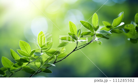 The vibrant green leaves in the summer garden create a natural backdrop 111285502