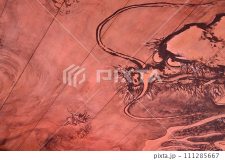 大徳寺 龍源院 開祖堂 天井画の龍 大徳寺 龍源院 開祖堂 天井画の龍 111285667