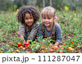 AI-generated content. Garden Glee - Children Enjoying Tomato Harvest. Children in farm concept 111287047