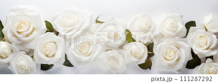 Beautiful banner with white roses background of Mothers, Valentine Day, Birthday, Anniversary, Wedding. Copy space. For advertisement, greeting card mockup, presentation, header, poster, website. Beautiful banner with white roses background of Mothers, Valentine Day, Birthday, Anniversary, Wedding. Copy space. For advertisement, greeting card mockup, presentation, header, poster, website. 111287292
