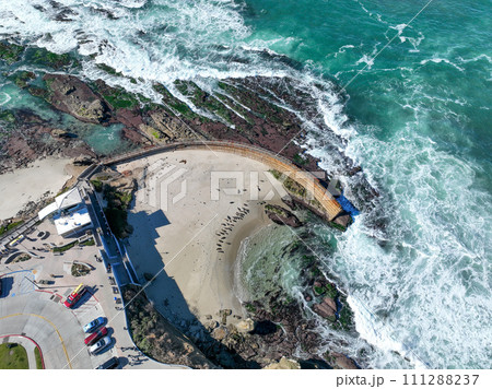 Aerial view of the La Jolla coastline, California, USA 111288237