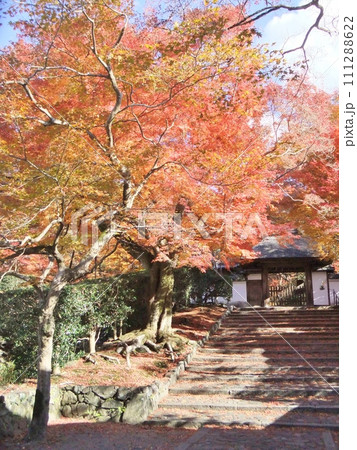 安楽寺の秋の紅葉 安楽寺の秋の紅葉 111288622
