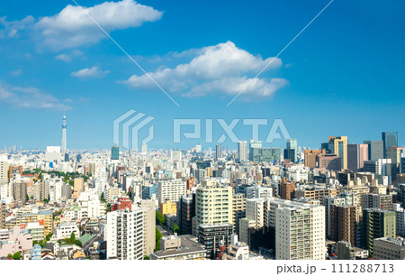 東京風景　2023夏 111288713