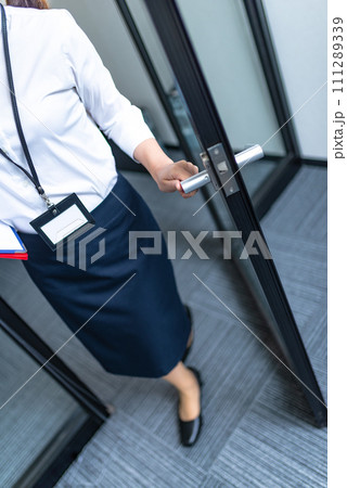企業のオフィスでのビジネスシーン 企業のオフィスでのビジネスシーン 111289339