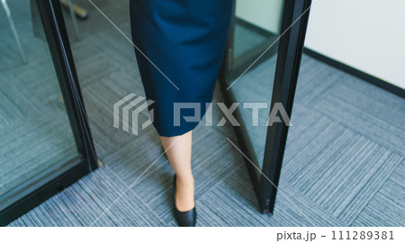 企業のオフィスでのビジネスシーン 企業のオフィスでのビジネスシーン 111289381