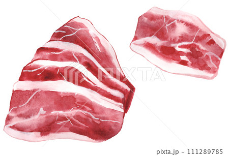 生肉　豚肉　水彩素材 111289785