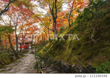 秋の京都 常寂光寺 末吉坂から見る紅葉に包まれた仁王門 秋の京都 常寂光寺 末吉坂から見る紅葉に包まれた仁王門 111290399