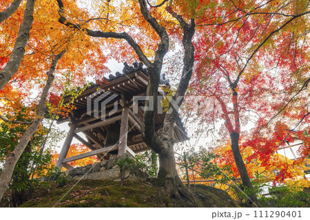秋の京都 紅葉に包まれた常寂光寺 鐘楼 秋の京都 紅葉に包まれた常寂光寺 鐘楼 111290401